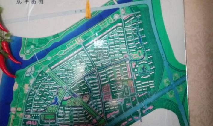 高新区杨柳 杨柳国际新城(i区) 211平米