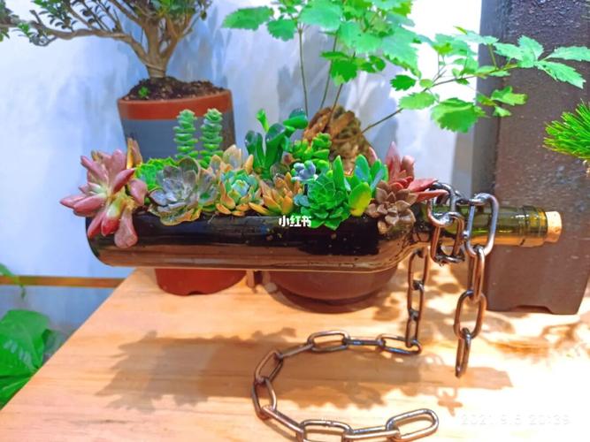 多肉造景._多肉植物_家居家装_家居装饰_花艺