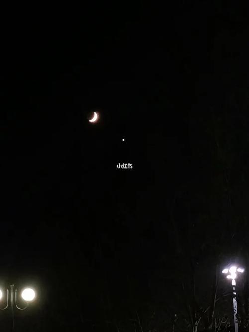 月亮与金星_表白_金星和月亮_生活记录_接地气生活