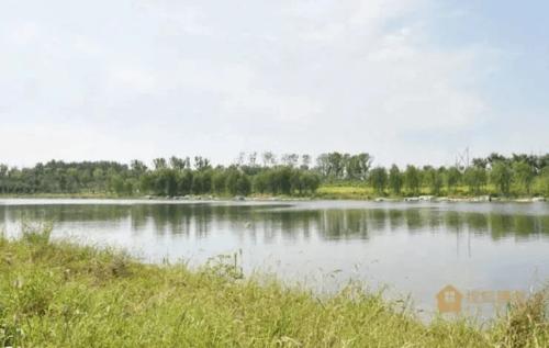 孝妇河湿地公园生态环境实景拍摄