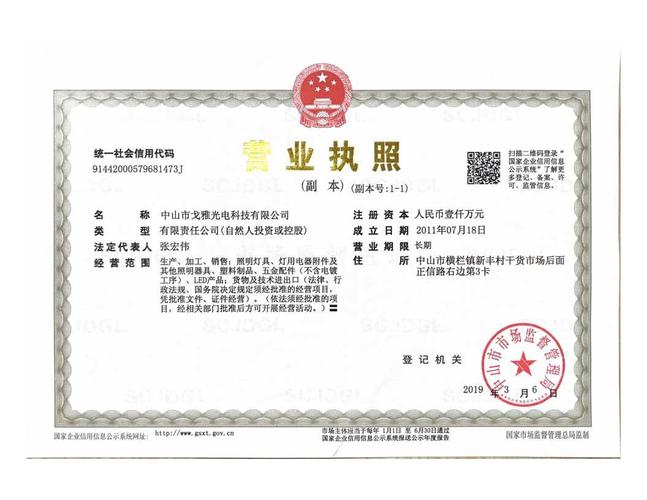 中山市戈雅光电科技有限公司
