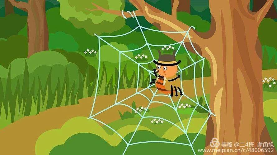 蜘蛛的故事