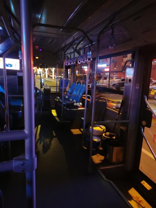 晚上的公交车_出行_出行其他