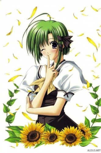 票选最喜欢的动漫绿毛女主角,兰华竟然不是第一