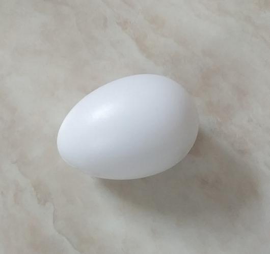 农场乌鸡蛋白蛋奍鸡场蛋引复活节彩蛋科技馆展示蛋塑料彩绘蛋玩具