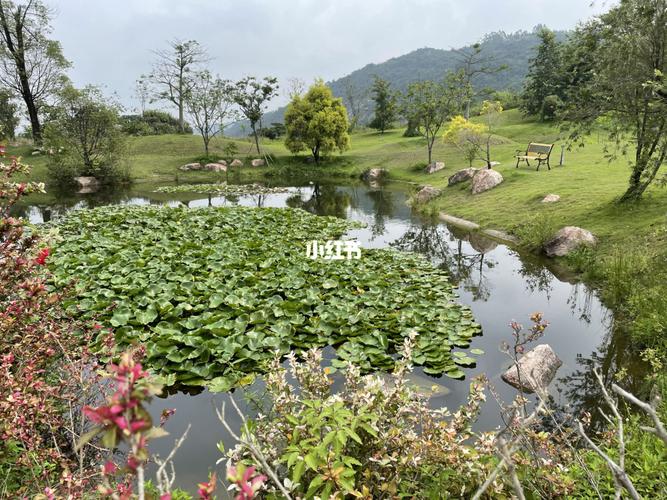 九龙湖生态公园_九龙湖生态公园自由行热门攻略_沙滩