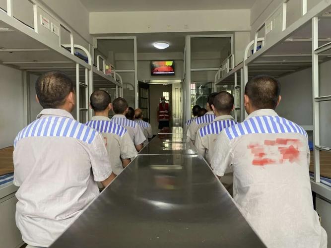 党的盛典看他们的一天潍北监狱组织罪犯开展庆祝建党100周年主题教育