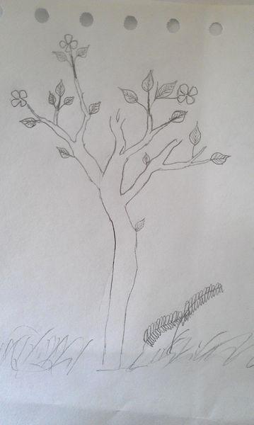 桃花水图简笔画