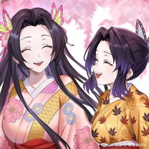 首战上弦之六堕姬兄妹,音柱华丽就退出了柱成员的舞台转为幕后工作.