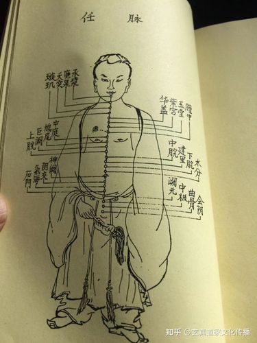 人体任督二脉和十二正经分布图