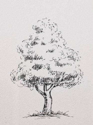 钢笔线稿手绘,不同的树的画法,拿去学习吧