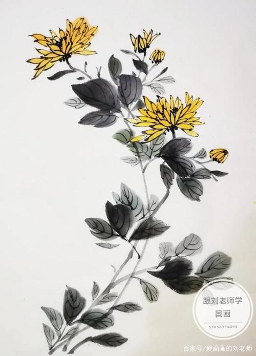 国画教程——写意菊花的画法