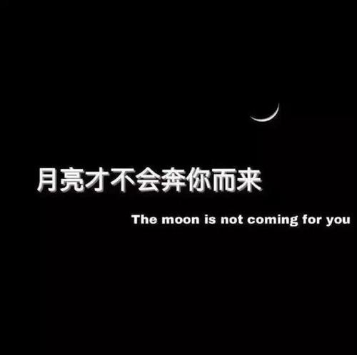 高逼格朋友圈封面图片,朋友圈封面图片高大上封面图