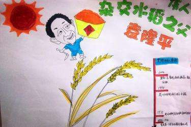 杂交水稻之族手抄报 手抄报简单又漂亮