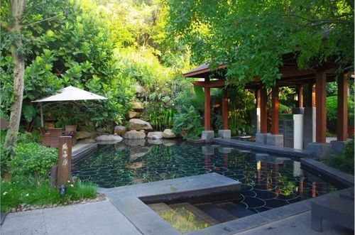 【汤泉|惠州中海汤泉二期酒店】本期分享私藏的宝藏级