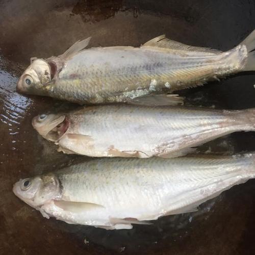 第2步,锅中油烧热加入鱼煎