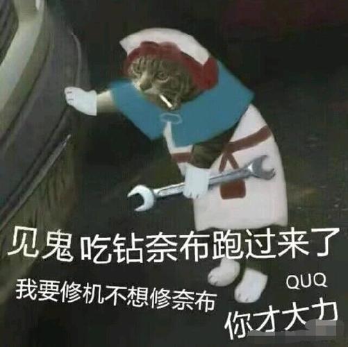 第五人格沙雕图21