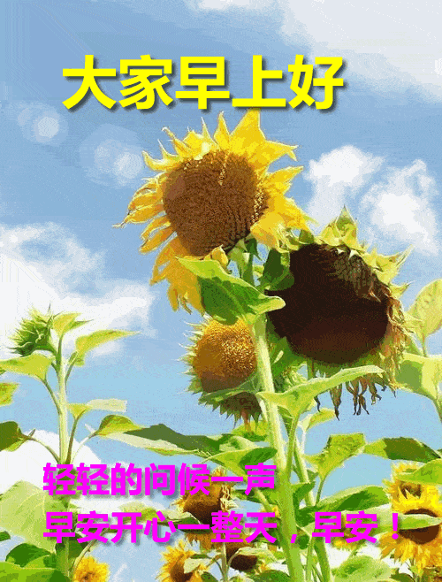 4月8日周三群发早上好问候祝福动态表情图片 4月最美早晨好问候表情