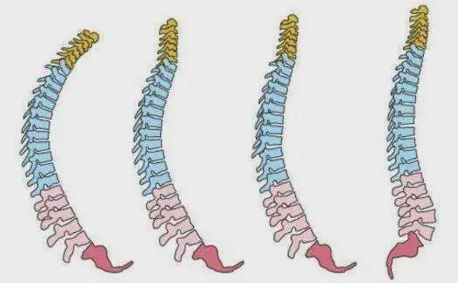 娃1岁前的脊柱很脆弱,家长了解3个关键期,呵护宝宝健康长大