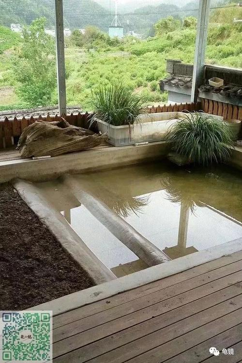 第四次改造 2017年8月10号不知道看哪一根筋不对,突然想养点半水龟