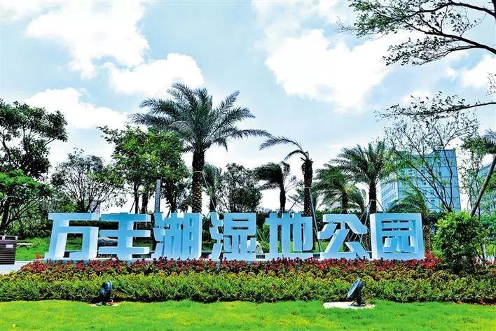 万丰湖湿地公园开园迎客!风景超美,快来打卡!