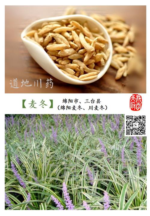 我爱天府中药之乡:四川的道地药材,为什么无川药不成方?