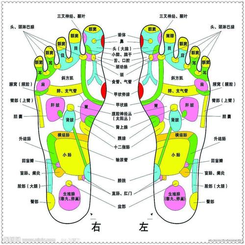 脚底板的穴位图