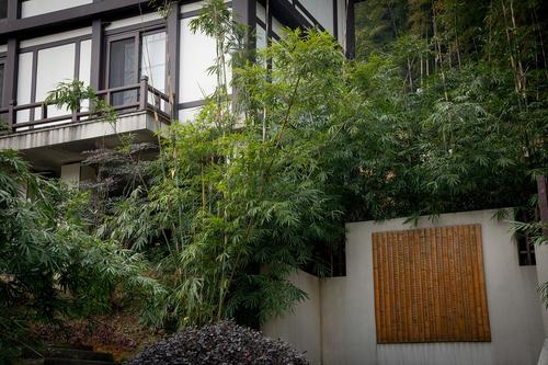 采访手记丨药山寺:为了工作,我在常德一座小庙里刷了两天的碗.