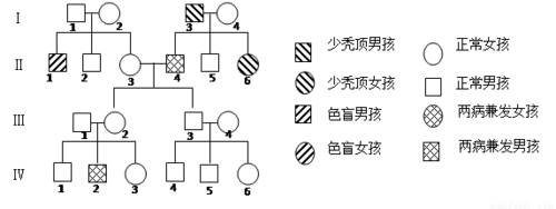 少秃顶是遗传的,受一对常染色体基因(基因用h,h表示)控制,在男孩身上