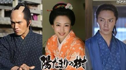 《向阳之树》是日本放送协会摄制,2012年春季开播的一部电视剧.
