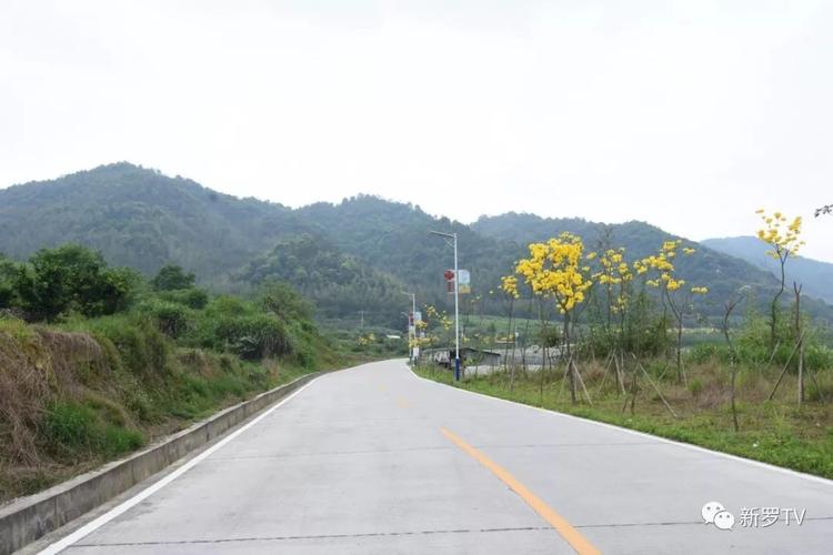 走进江山镇村美村 唤起你的乡愁._龙岩