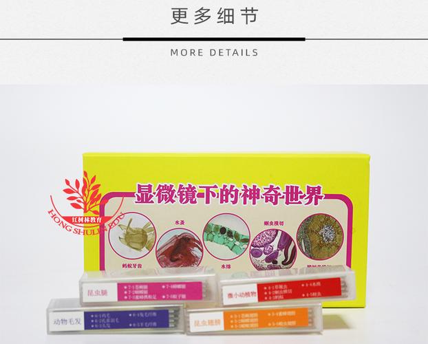 生物显微镜标本切片35片装七彩动物植物细胞玻璃载玻片儿童小学生