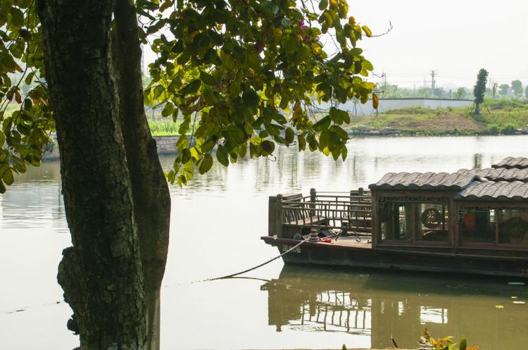 [原创]走进温州三垟湿地公园