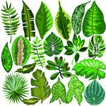 矢量森林背景墙图片