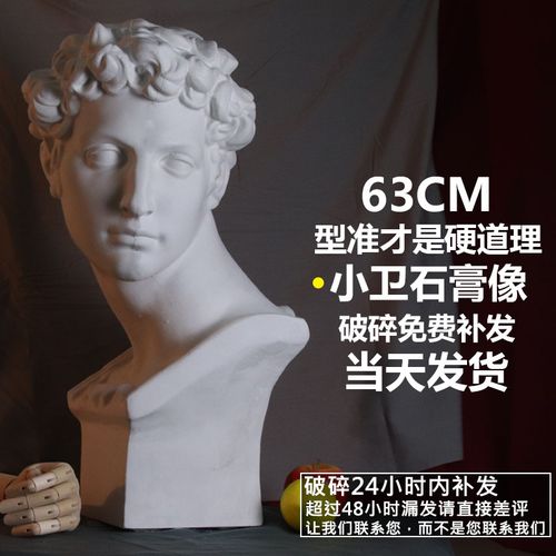小卫石膏头像写生教具小卫素描雕塑