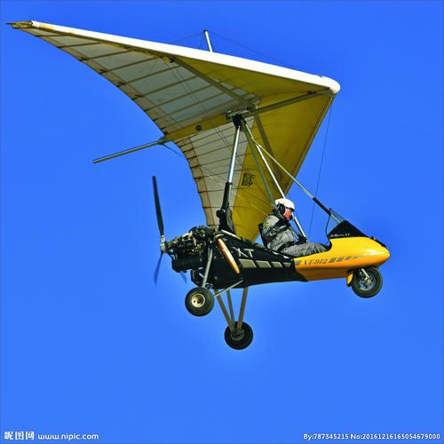 动力三角翼图片