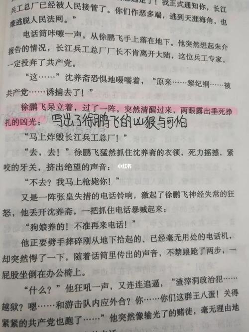 红岩第三十章批注②_阅读_文化_阅读