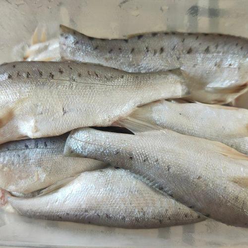 家熬小鲈板鱼,下酒下饭都棒极了