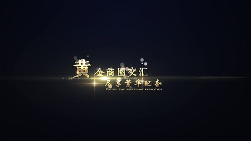 金色文字标题字幕_ae模板下载(编号:2998056)_ae模板_vj师网 www.