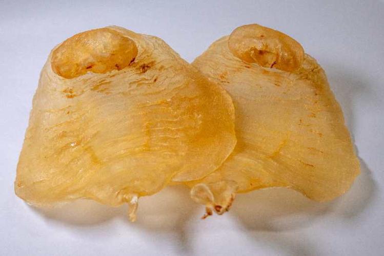 湛江赤嘴母胶12头花胶鱼胶干货 赤嘴鳖鱼胶母肚赤嘴花胶传统滋补