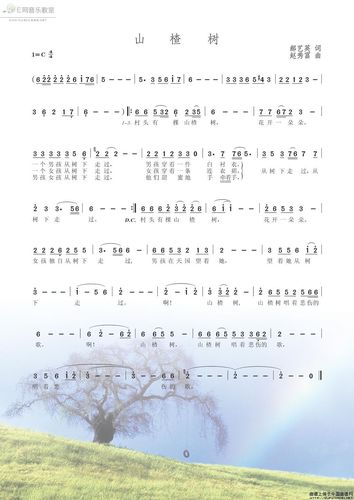 山楂树 歌谱 简谱