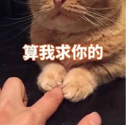 萌宠专用表情包:你说的都对,但我并不会改!