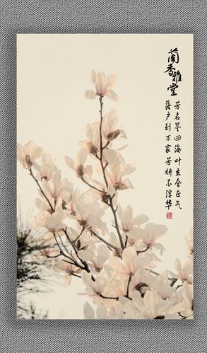 玉兰花(画意)