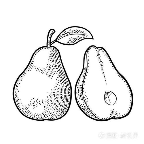 梨全叶的一半.老式黑色雕刻