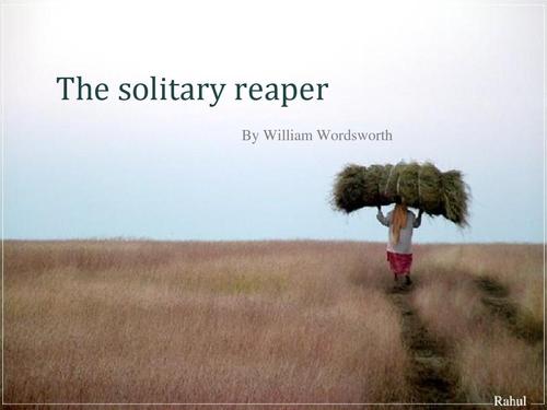 the solitary reaper analysisppt
