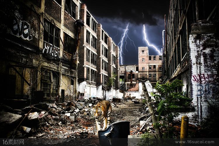 老树行走在荒废的城市建筑中高清图片