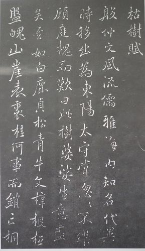 褚遂良 枯树赋 (局部)