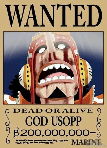 乌索普的赏金一下子成为草帽海贼团前三名,仅次于路飞与索隆,乌索普