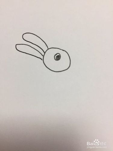 兔子的简单画法