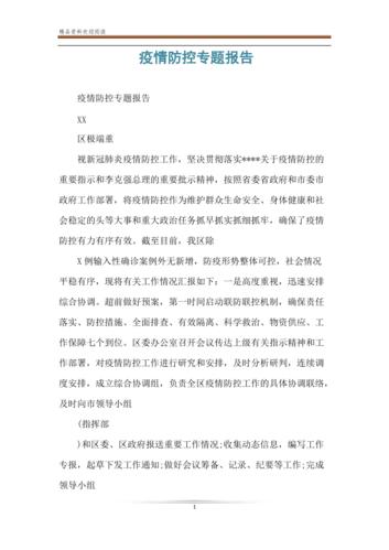疫情防控专题报告.doc